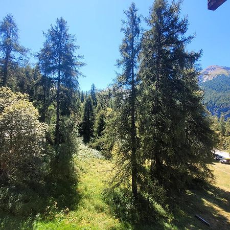 Le Lodge Des Marmottes - Calme, Cosy, Vue Nature Les Orres Dış mekan fotoğraf